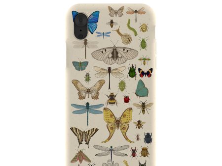 London Fog Invertebrates iPhone XR Case Online Hot Sale